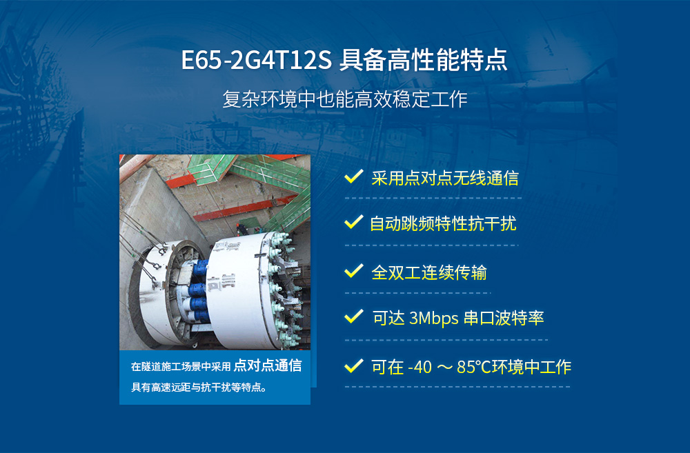 CH-E65-2G4T12S_02