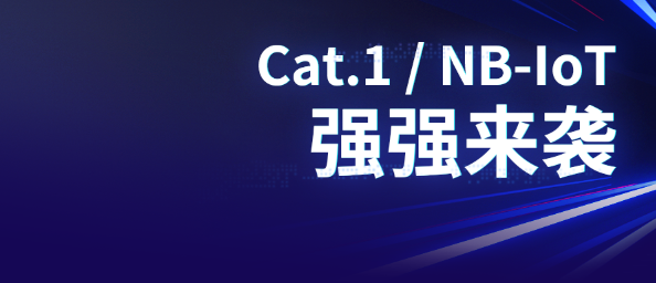 Cat.1  NB-IoT强强来袭