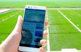 6种方法让物联网技术改善智能农业