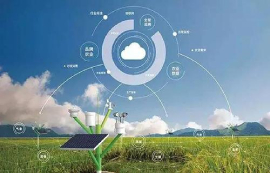 如何利用物联网技术提高农作物产量和可持续性