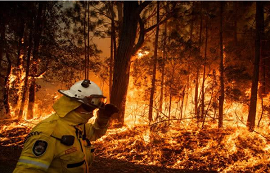【应用】基于LoRa技术的智能森林防火系统，保护大自然免受侵害！