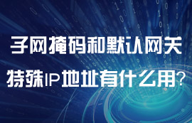 子网掩码和默认网关这两个特殊的IP地址有什么用？