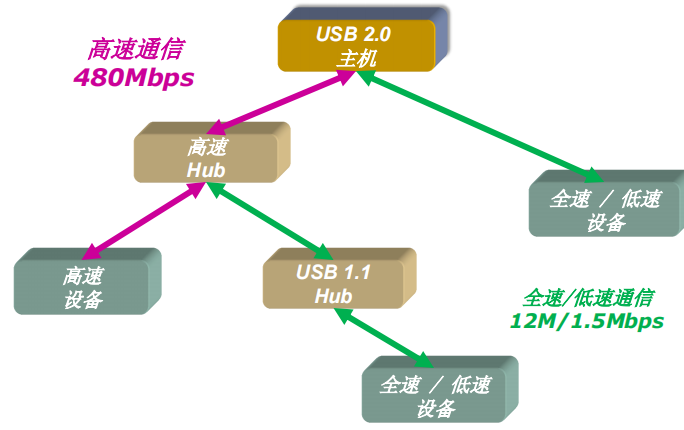 USB总线拓扑结构示意图