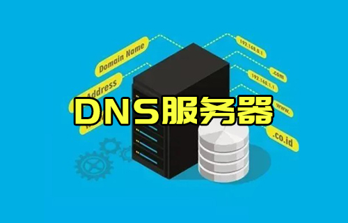 【科普视频】什么是DNS服务器，有什么作用？