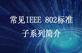 IEEE 802标准有哪些常见子系列标准