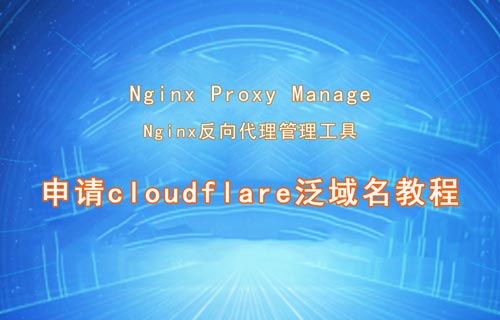 Nginx Proxy Manager申请cloudflare泛域名教程