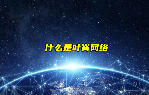 【物联科普】什么是叶脊网络？