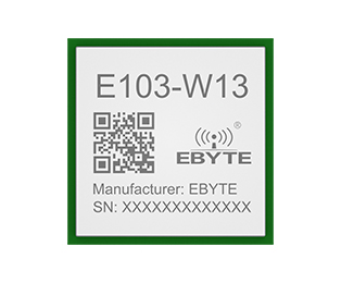 E103-W13