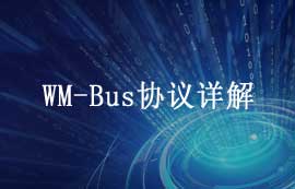 WM-Bus协议详解