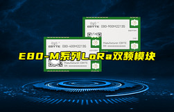 【新品推荐】E80-M系列双频LoRa模块新品简介