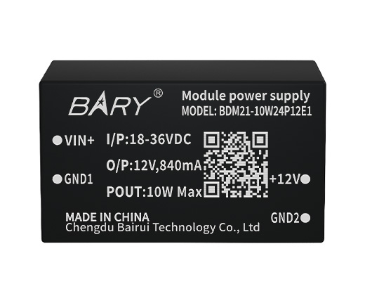 BDM21-10W24P12E1 (1)