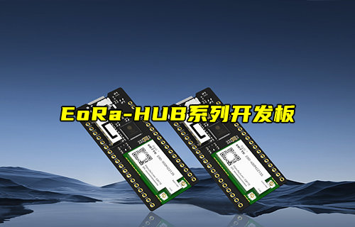 EoRa-HUB系列无线模块开发板功能简介