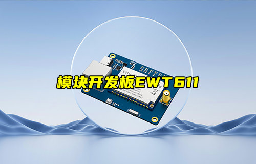 远距离图传数传模块开发板EWT611-900NW20S简介