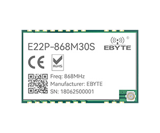 E22P-868M30S