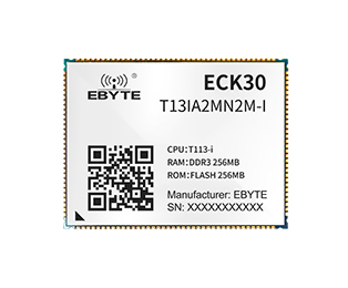 ECK30-T13IA2MN2M-I