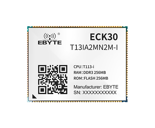 ECK30-T13IA2MN2M-I