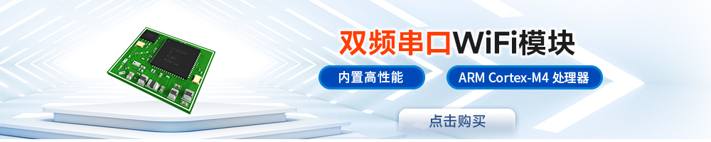 E103-W06 引流图