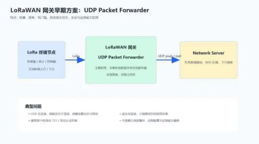 UDP Packet Forwarder 典型架构示意