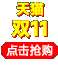 双11